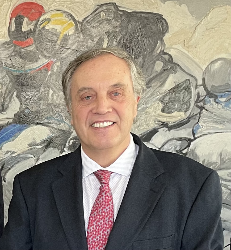 Dr. José Luis Pérez Triviño Profesor Titular de Filosofía del Derecho, Departamento de Derecho.